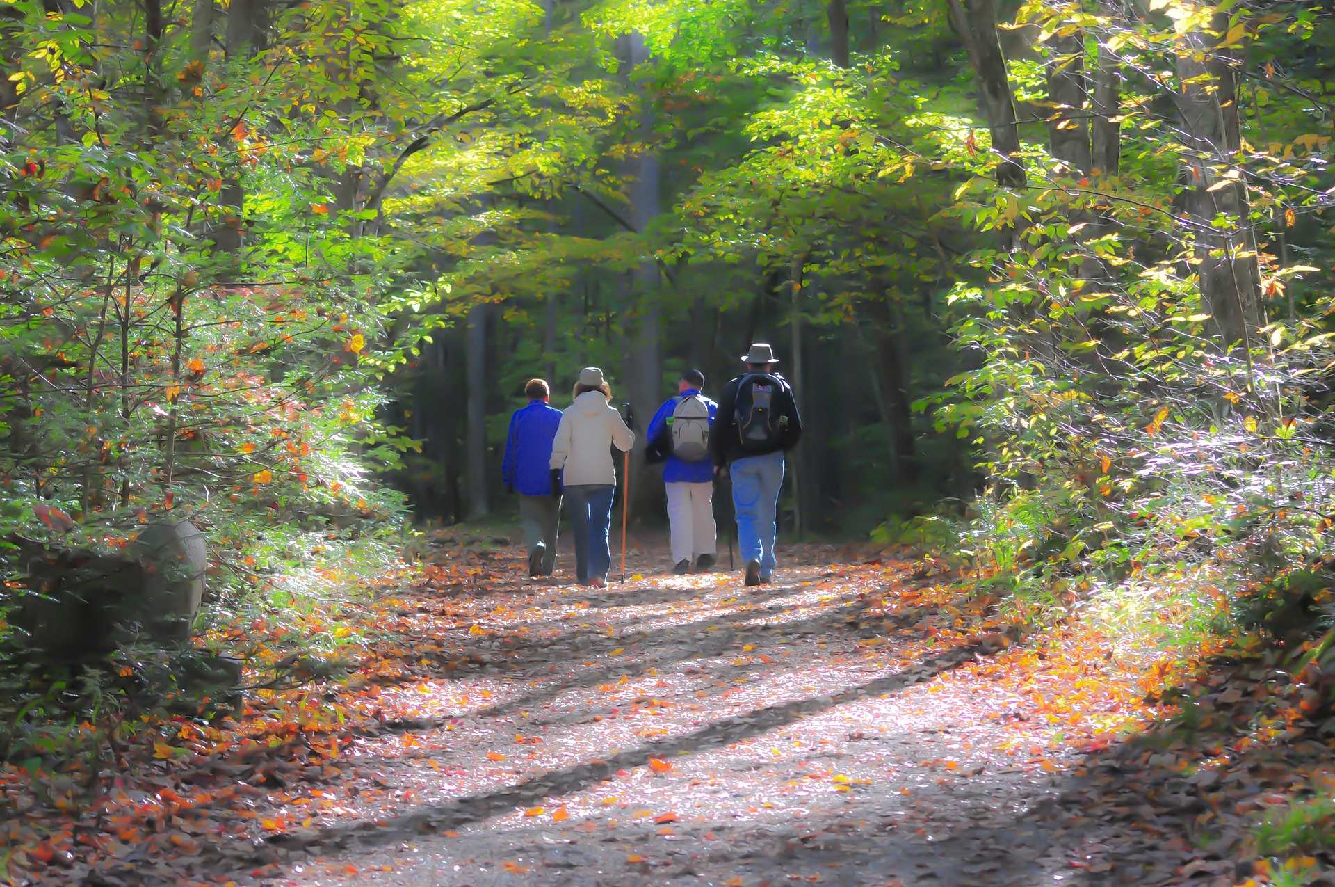 hiking-ga0163cd81_1920
