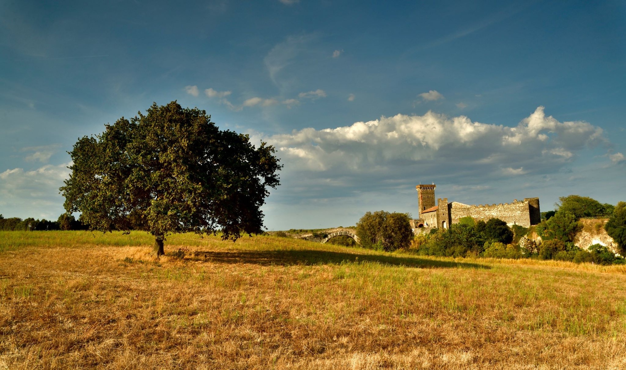 vulci e castello dell abbadia