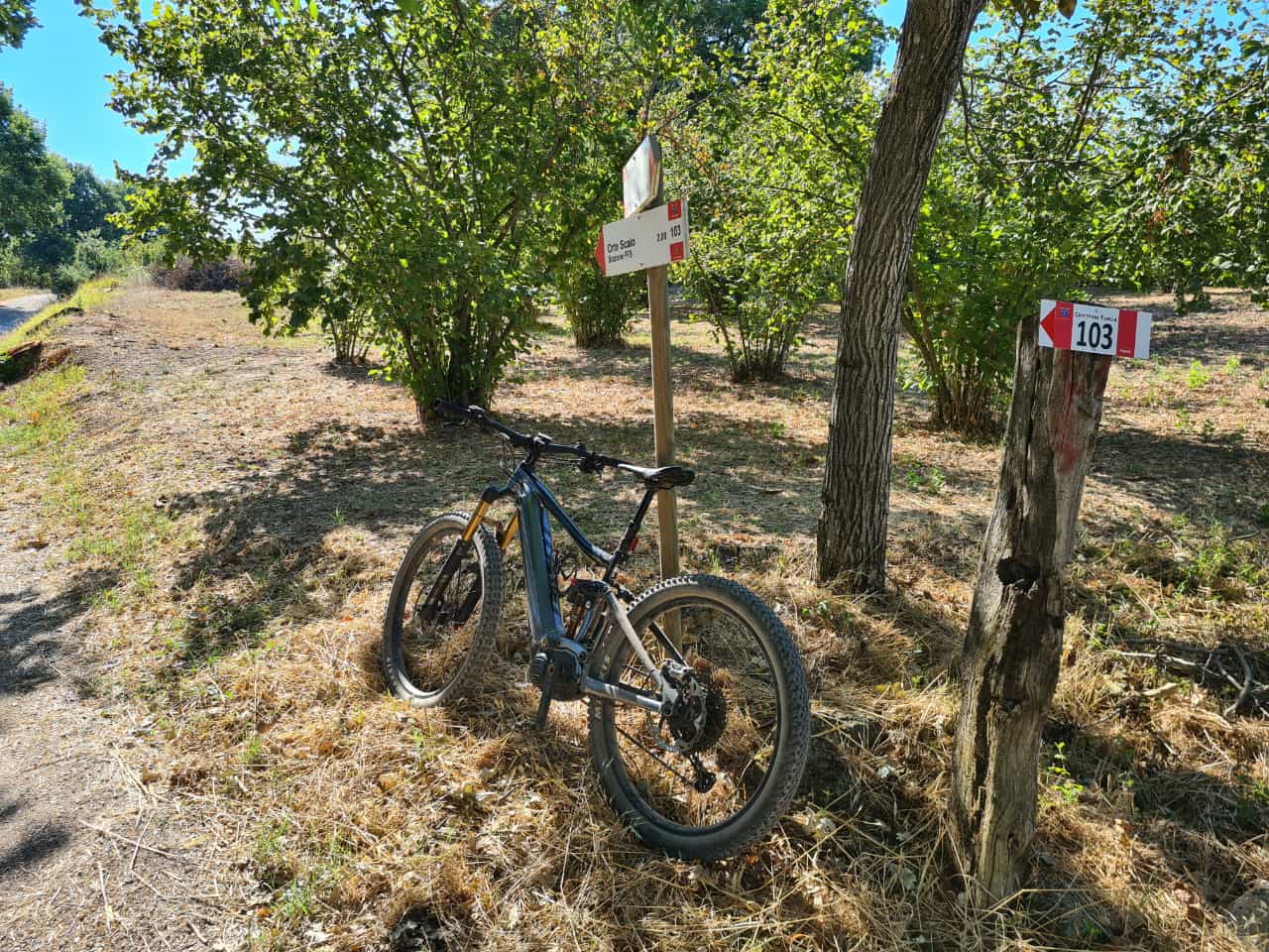 Cammino 103 Tuscia