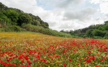 Benvenuti a tavola  Benvenuti a tavola