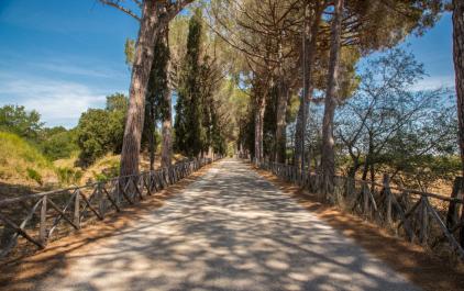 Sito Unesco degli Etruschi: Cerveteri Sito Unesco degli Etruschi: Cerveteri